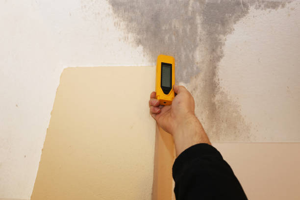 Best Indoor Air Quality Assessment  in Fraser, CO