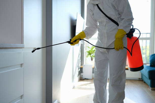 Best Mold Removal for HVAC Installations  in Fraser, CO