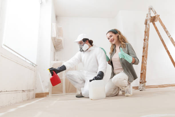 Professional Mold Removal in Fraser, CO